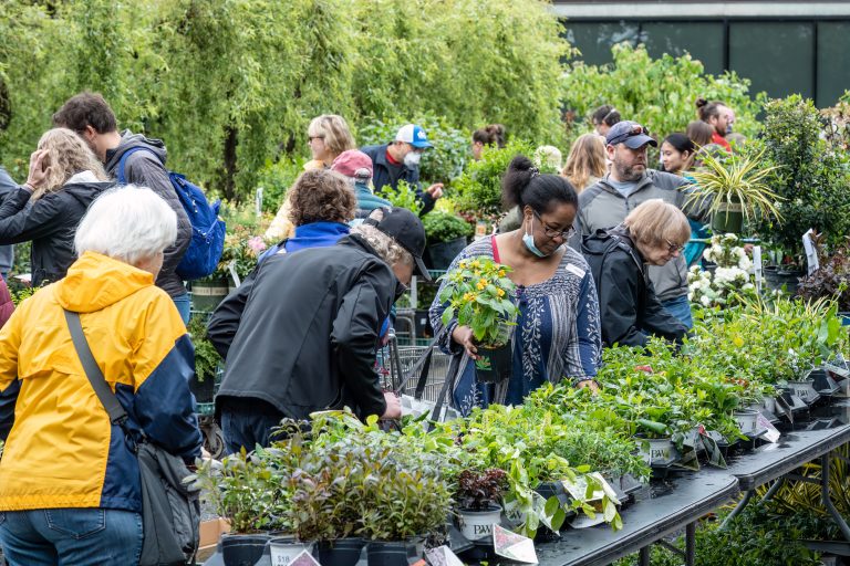Shop the FONA Garden Fair and Sale April 27