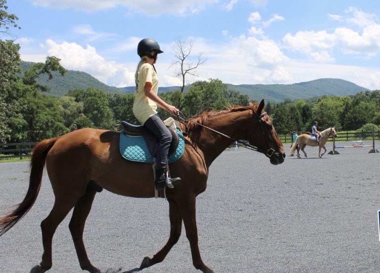 How to Choose a Summer Camp